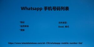 Whatsapp 手机号码列表