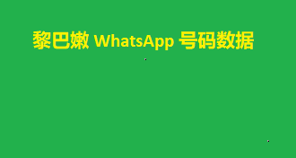 黎巴嫩 WhatsApp 号码数据