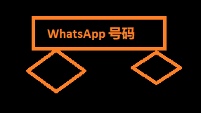 WhatsApp 号码