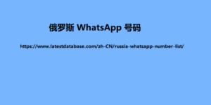 俄罗斯 WhatsApp 号码列表